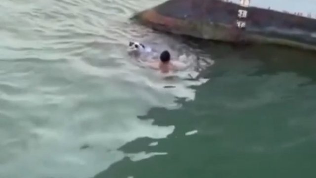Mężczyzna skacze do morza, by uratować kota, który utknął na dziobie statku