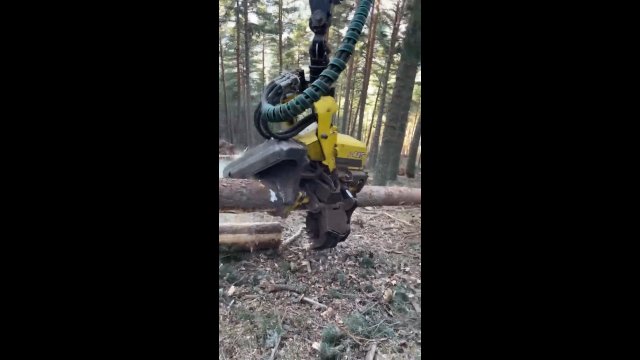 Blaszany drwal, czyli niesamowita maszyna do prac leśnych
