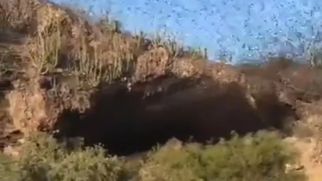 Chmura nietoperzy opuszcza swoją jaskinię