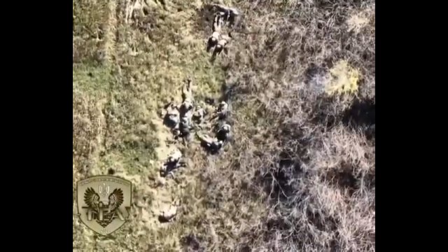 Ukraiński dron zrzuca granat na grupę śpiących rosyjskich żołnierzy