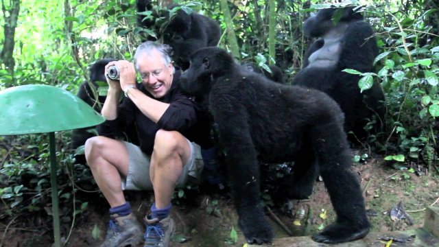 Fotograf spotyka rodzinne goryli