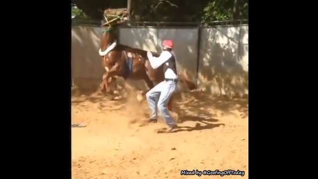 Wkurzony mężczyzna kopnął konia. Zwierzak odwdzięczył się tym samym