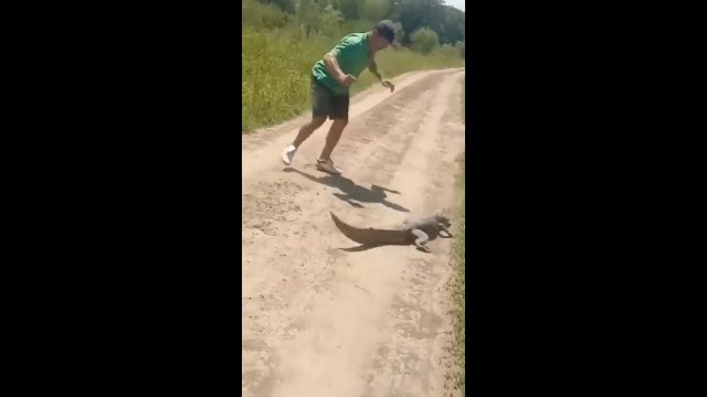 Facet z noże myślał, że zabije aligatora. Dostał szybką i bolesną nauczkę