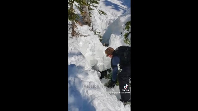 Snowboardziści uratowali łosia, który utknął w głębokim śniegu