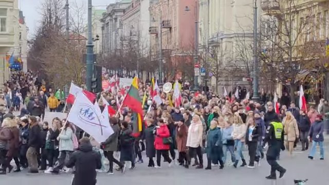 Polacy walczą o swoje szkoły na Litwie. Trzytysięczna manifestacja w Wilnie [WIDEO]