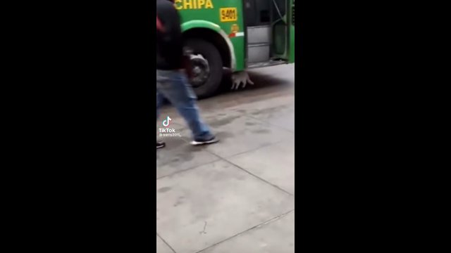 Kot próbował władować się pod koła autobusu