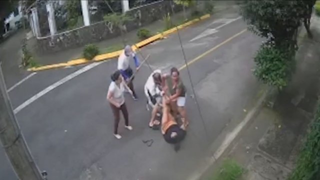 Mężczyzna ratuje dziewczynę przed atakiem pitbulla przyduszając psa