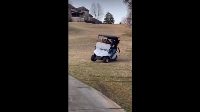 Pijany mężczyzna popisuje się wózkiem golfowym przed przyjaciółmi...