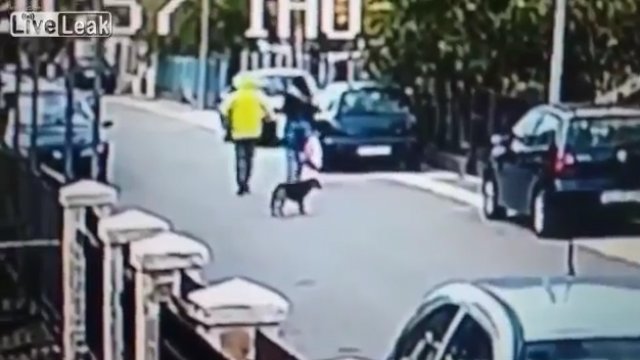 Bezpański pies ratuje kobietę przed rabunkiem