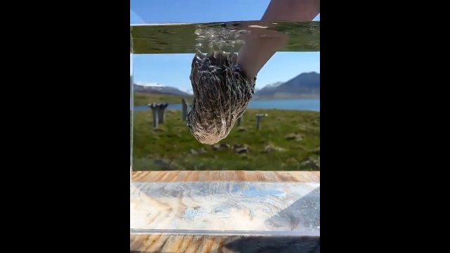 Niesamowite właściwości hydrofobowe islandzkiego pierza