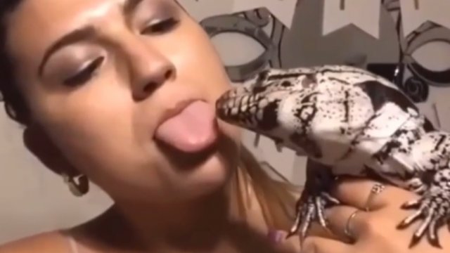 Wyciąganie języka przy jaszczurce