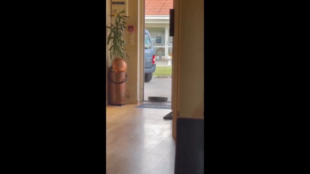 Odkurzacz automatyczny uciekł z domu przez otwarte drzwi