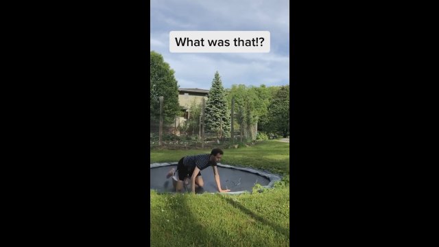 Ćwiczył akrobacje na trampolinie, dopóki nie zobaczył że towarzyszy mu wąż