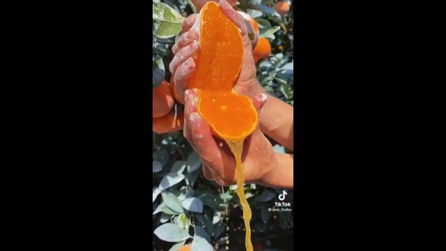 Aż nam ślinka cieknie na widok tej wyjątkowo soczystej pomarańczy! [WIDEO]