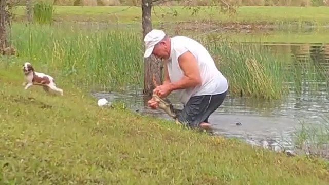 Facet ratuje swojego psa z paszczy aligatora