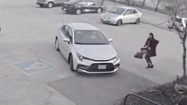 Gęś atakuje dziewczynę na parkingu
