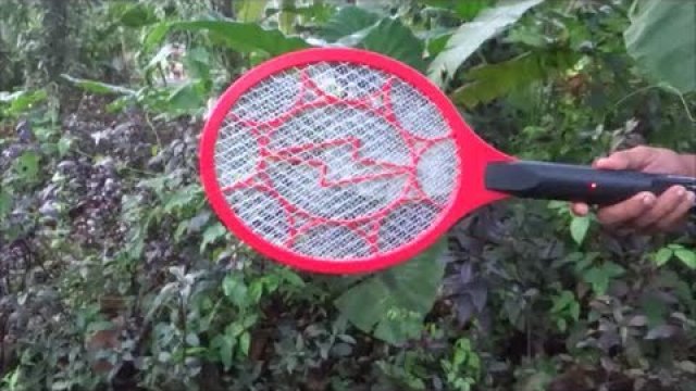 Śmierć setek komarów w kilka minut!