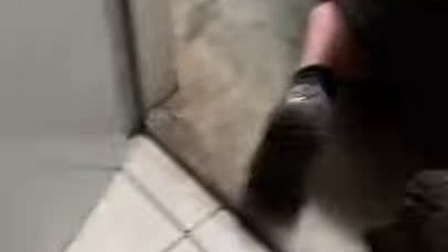 Facet przykleja przepychacz wc do drzwi
