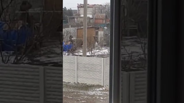 Rosyjscy żołnierze kradną kury