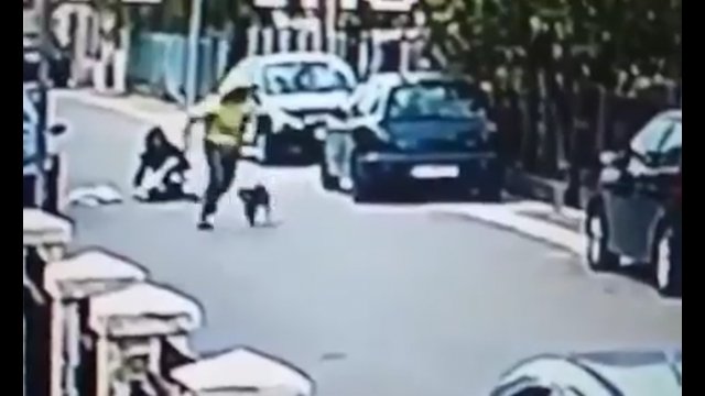 Bezpański pies wyczuł co się szykuje, uratował kobietę przed rabunkiem