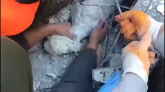 Po trzęsieniu ziemi w Turcji pies został uratowany po 61 godzinach.
