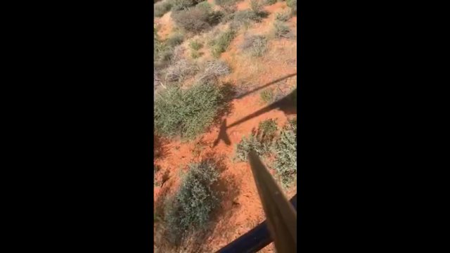 Mężczyzna wypadł z helikoptera podczas polowania na safari