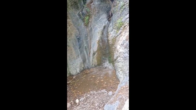 Locha z warchlakami zjeżdżają ze skały do ​​wody