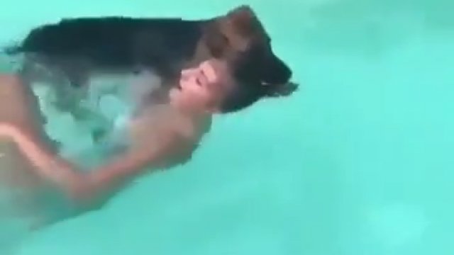 Pies wskoczył do basenu, aby uratować swoją panią
