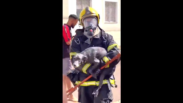 Strażak wyciągnął nieżywego psa z pożaru. Właścicielka nie mogła powstrzymać łez