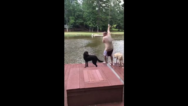 Psy próbowały ratować swojego właściciela, który skoczył do wody