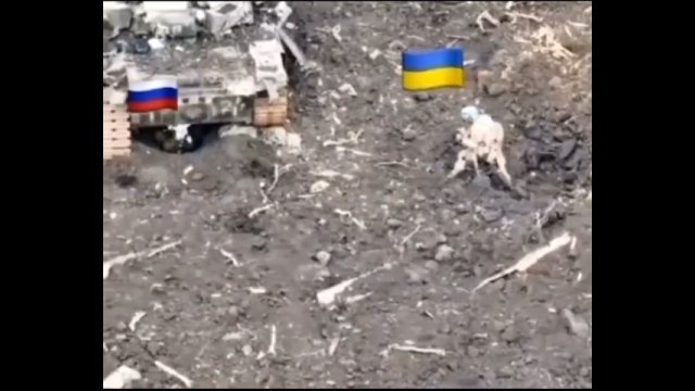 Ukrainiec rzuca granat prosto w Rosjanina ukrywającego się pod czołgiem (wyższa jakość)