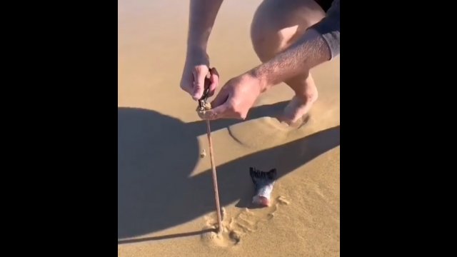 Wyciągnął tego robaka z piasku na plaży. Nowa fobia odblokowana [WIDEO]