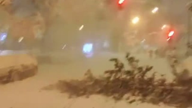 Ktoś w Madrycie nagrał jak drzewo spada na samochód