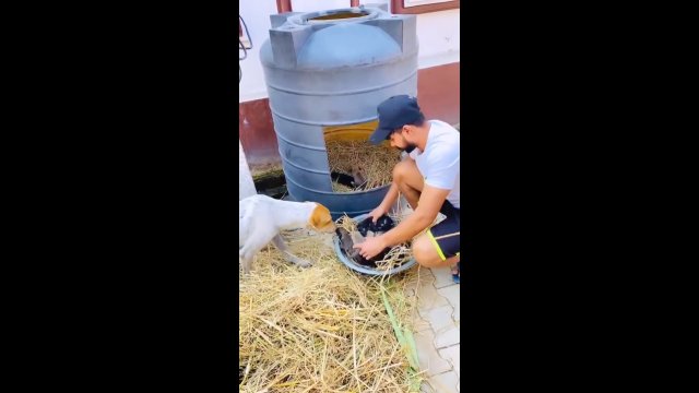 Mężczyzna przygotował schronienie dla bezdomnego psa z szczeniakami