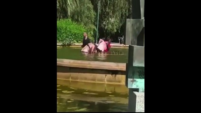 Mężczyzna próbował utopić kobietę w fontannie. Do akcji włączyli się przechodnie! [WIDEO]