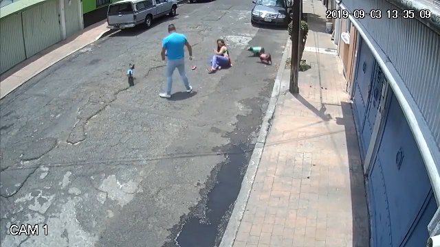Bezczelny bandyta powalił na ziemię kobietę, która wyszła na spacer z psem