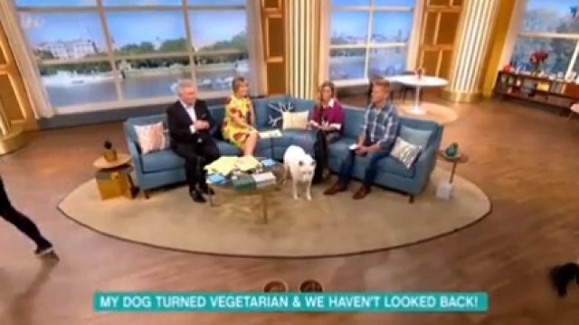 Kobieta myślała że jej pies jest wegetarianinem. Pokazali jej jak bardzo się myli