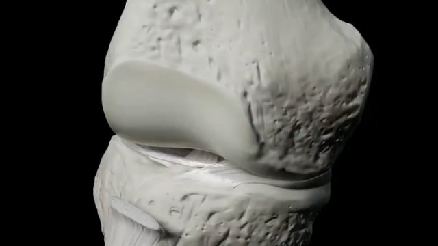 Wizualizacja biomechaniki kolana
