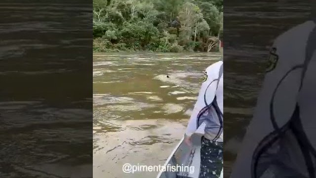 Rybacy zobaczyli w wodzie nieoczekiwanego „autostopowicza”