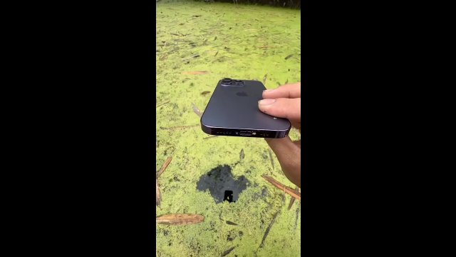 Wsadził iPhone do stawu, aby pokazać co się kryje pod wodą