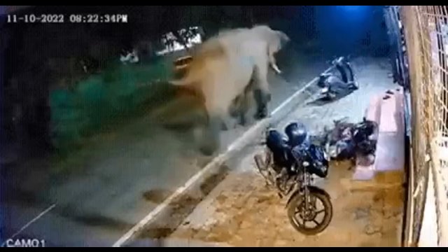 Karma za zaparkowanie motocykla na ulicy