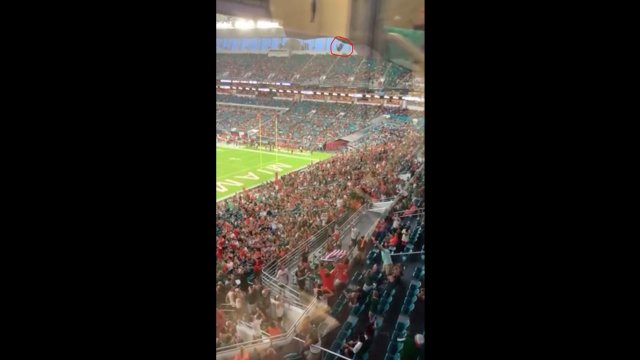 Fani Miami ratują kota przed upadkiem z górnego pokładu.