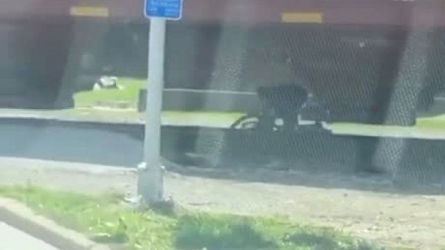 Zniecierpliwiony rowerzysta przechodzi pod wolno jadącym wagonem kolejowym