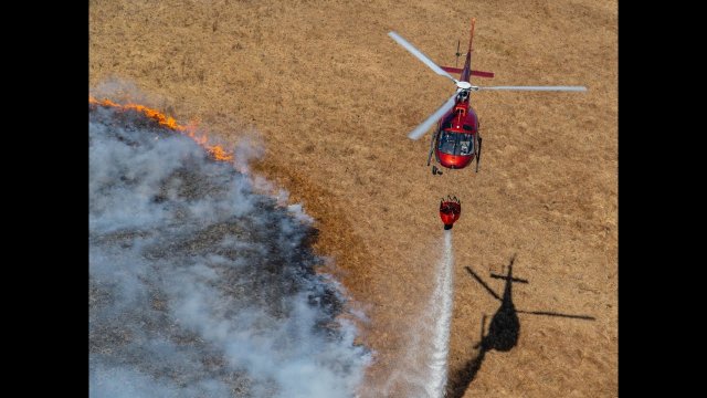 Eurocopter AS350 podczas akcji gaszenia pożaru Biebrzańskiego Parku Narodowego