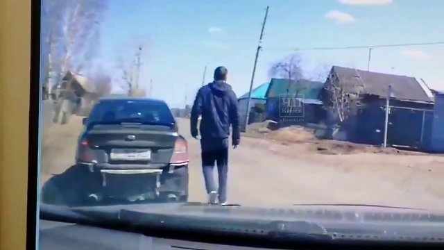 Kierowca uratował dziecko przed pogryzieniem przez ogromnego psa – Rosja