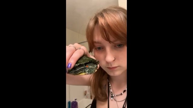 Kobieta chciała pocałować żółwia. Nie spodziewała się, że zwierzę zareaguje w ten sposób!