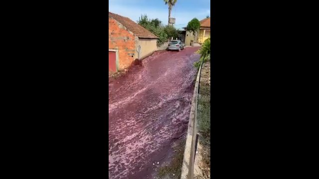 "Rzeka wina' w Portugalii. Miasto zostało zalane alkoholem [WIDEO]