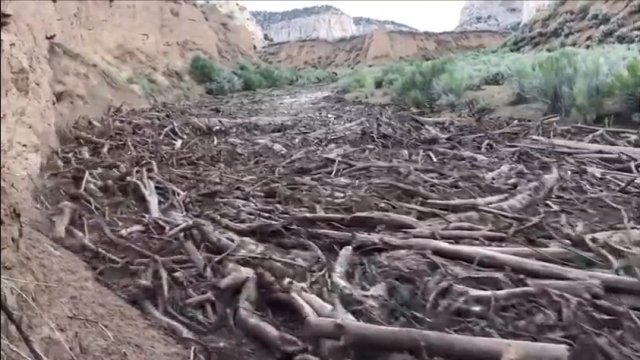 Powódź błyskawiczna (flash flood) w Johnson Canyon w stanie Utah w USA