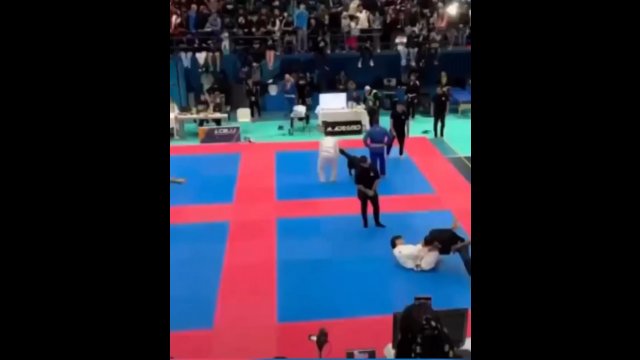 Pies próbował ochronić swojego właściciela podczas turnieju jiu jitsu