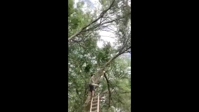 Mężczyzna ścinał gałęzie drzewa. Jedna z nich uderzyła bezpośrednio w niego